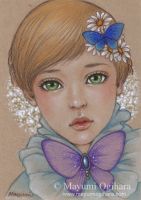 Butterflies